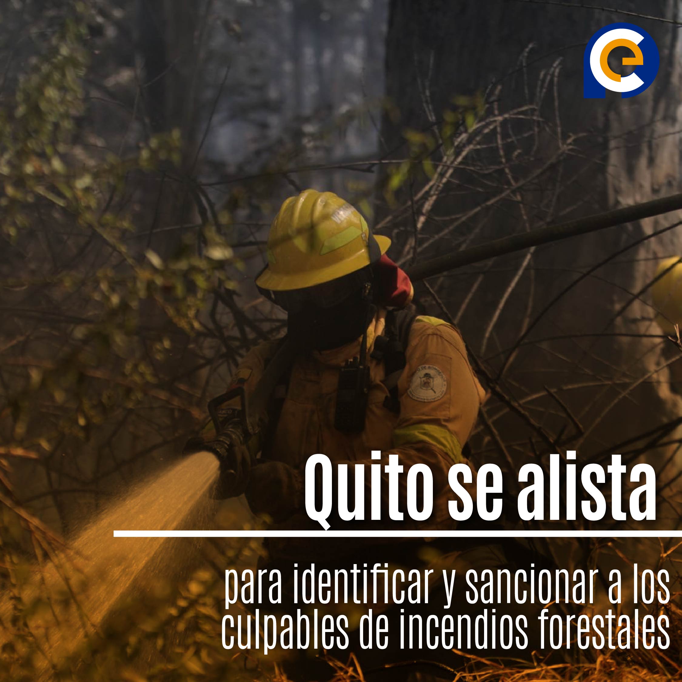 Quito se alista para identificar y sancionar a los culpables de incendios forestales