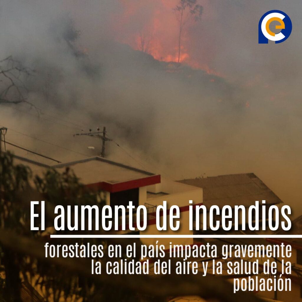 Récord de incendios forestales en Ecuador: una amenaza crítica para la salud pública