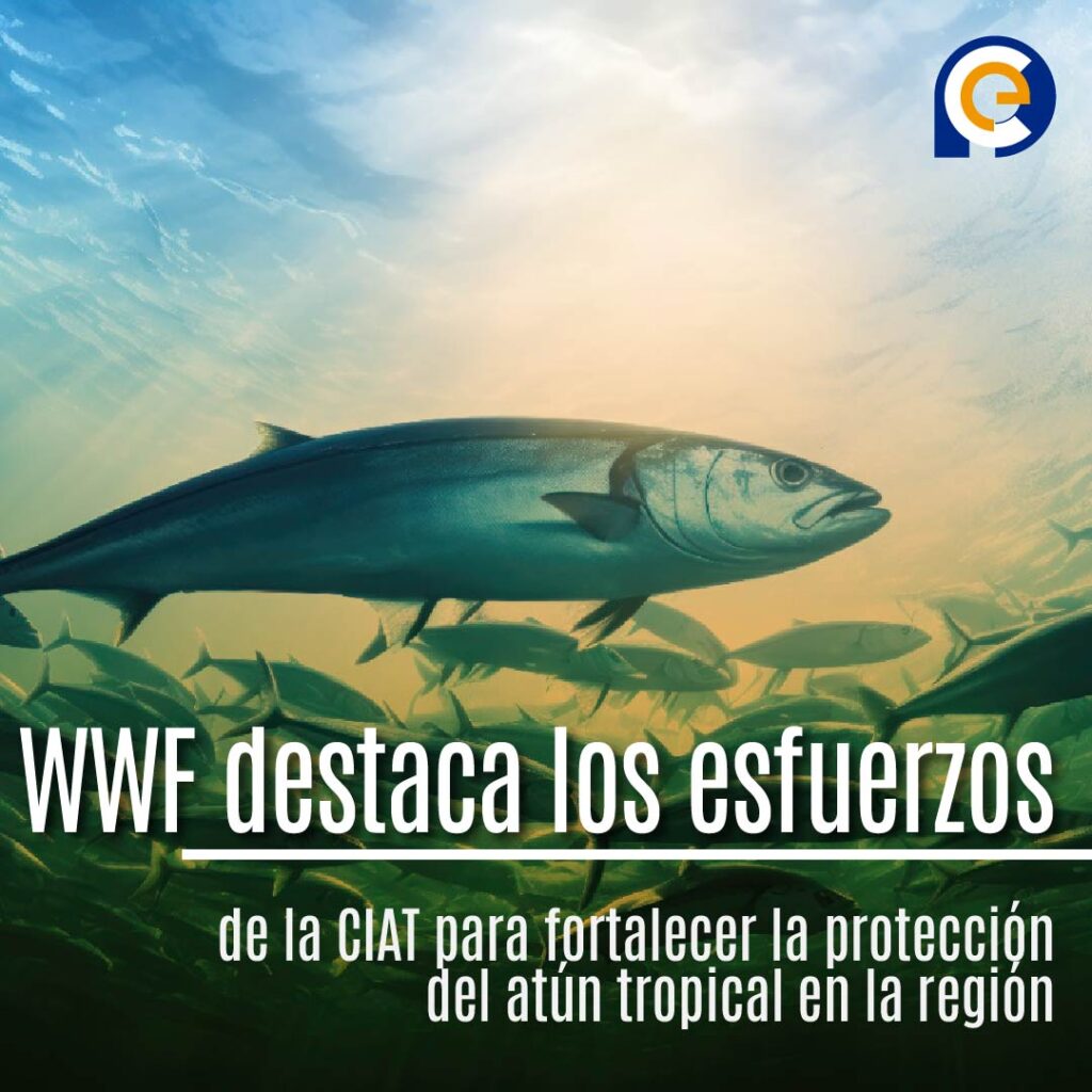 WWF destaca los esfuerzos de la CIAT para fortalecer la protección del atún tropical en la región