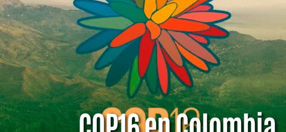 COP16 en Colombia: ¿Última oportunidad para salvar la biodiversidad global?