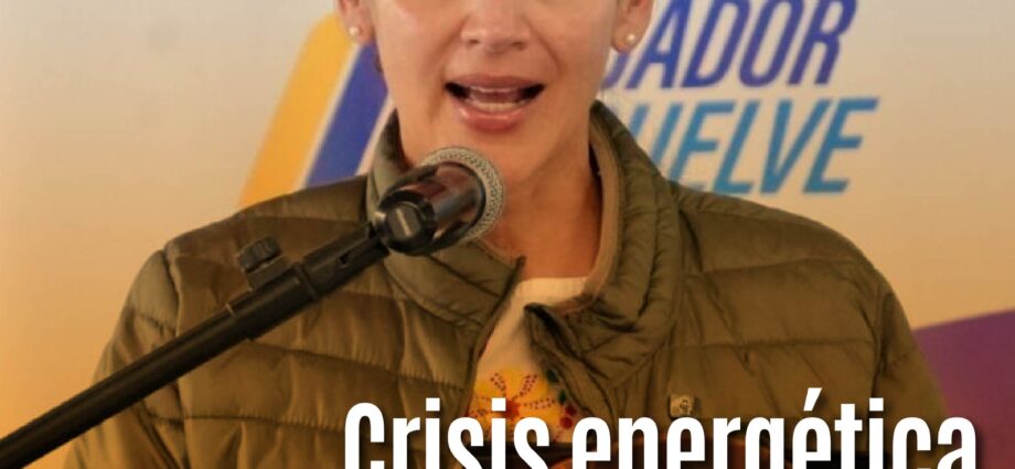 Crisis energética en Ecuador: Antonio Gonçalves renuncia, Inés Manzano asume interinamente