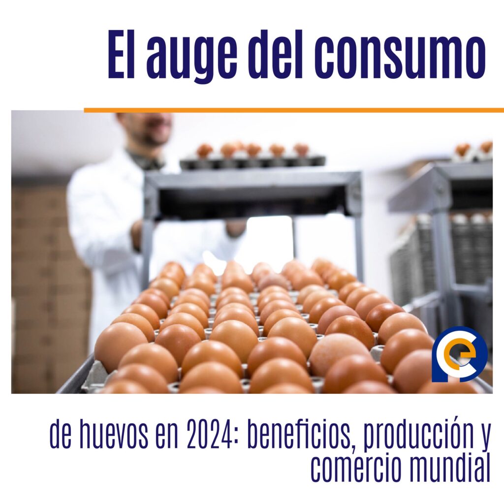 El auge del consumo de huevos en 2024: beneficios, producción y comercio mundial