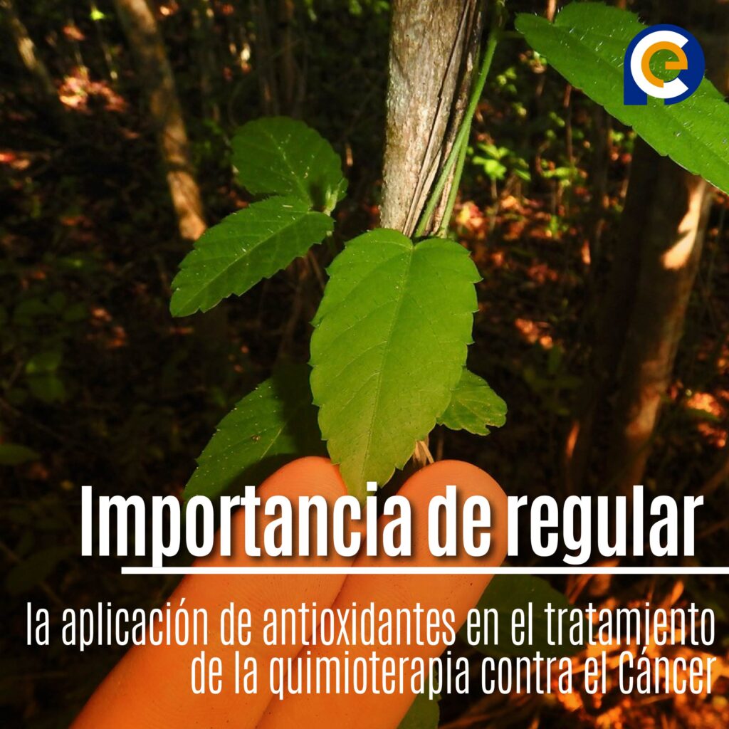 Importancia de regular la aplicación de antioxidantes en el tratamiento de la quimioterapia contra el Cáncer