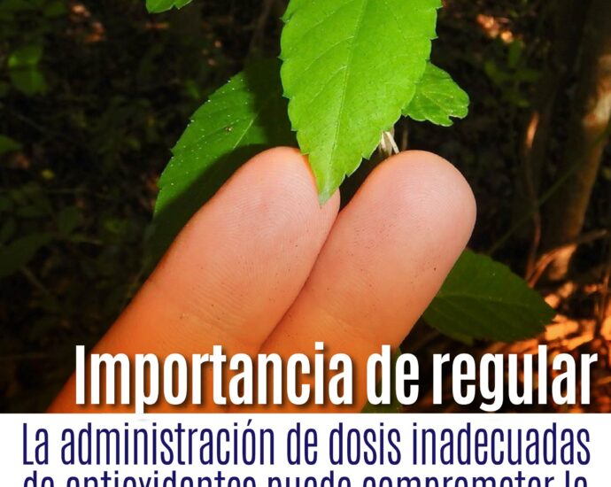 Importancia de regular la aplicación de antioxidantes en el tratamiento de la quimioterapia contra el Cáncer