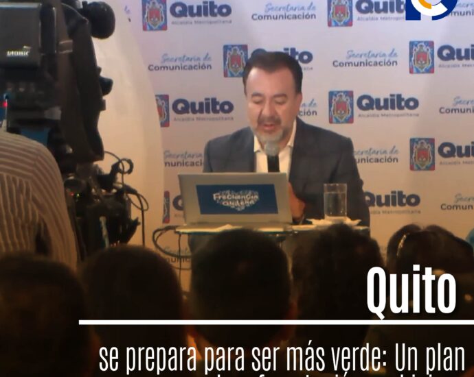 Quito se prepara para ser más verde: Un plan de reforestación ambicioso