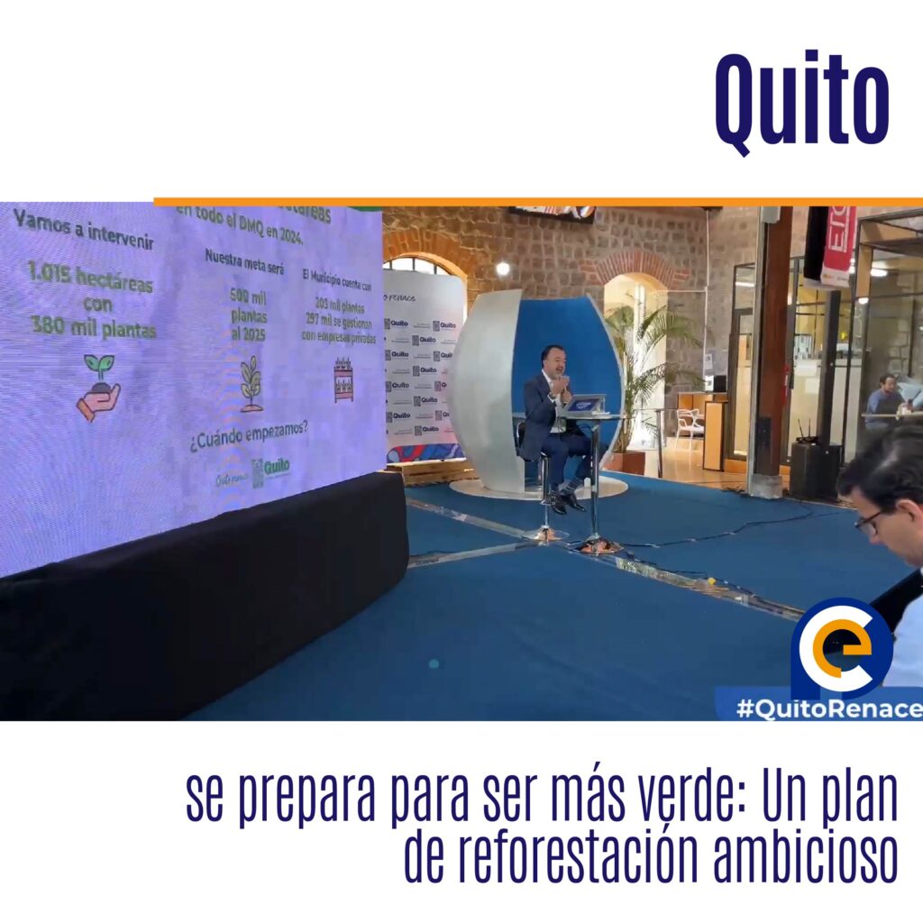 Quito se prepara para ser más verde: Un plan de reforestación ambicioso