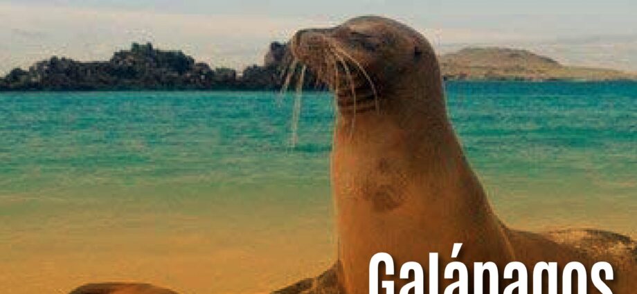 Galápagos brilla como la región más deseable del mundo en los Wanderlust Reader Travel Awards