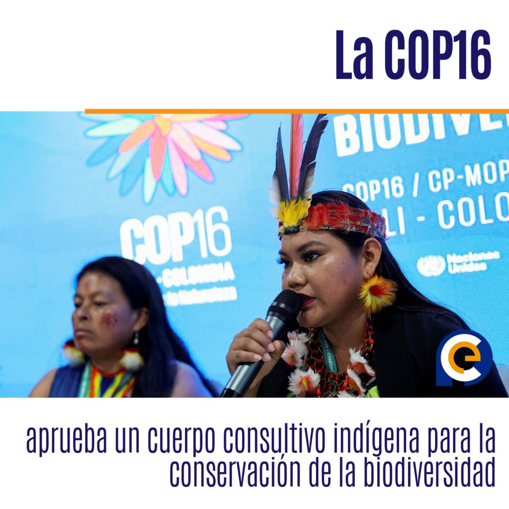La COP16 aprueba un cuerpo consultivo indígena para la conservación de la biodiversidad