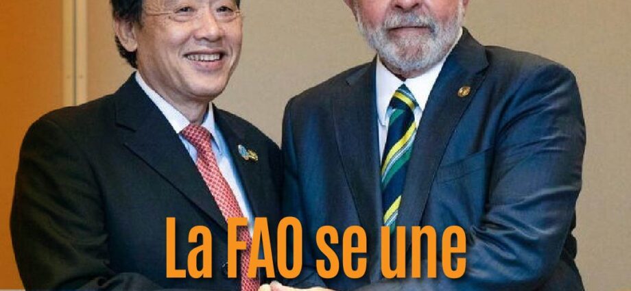 La FAO se une oficialmente a la Alianza Mundial contra el Hambre y la Pobreza