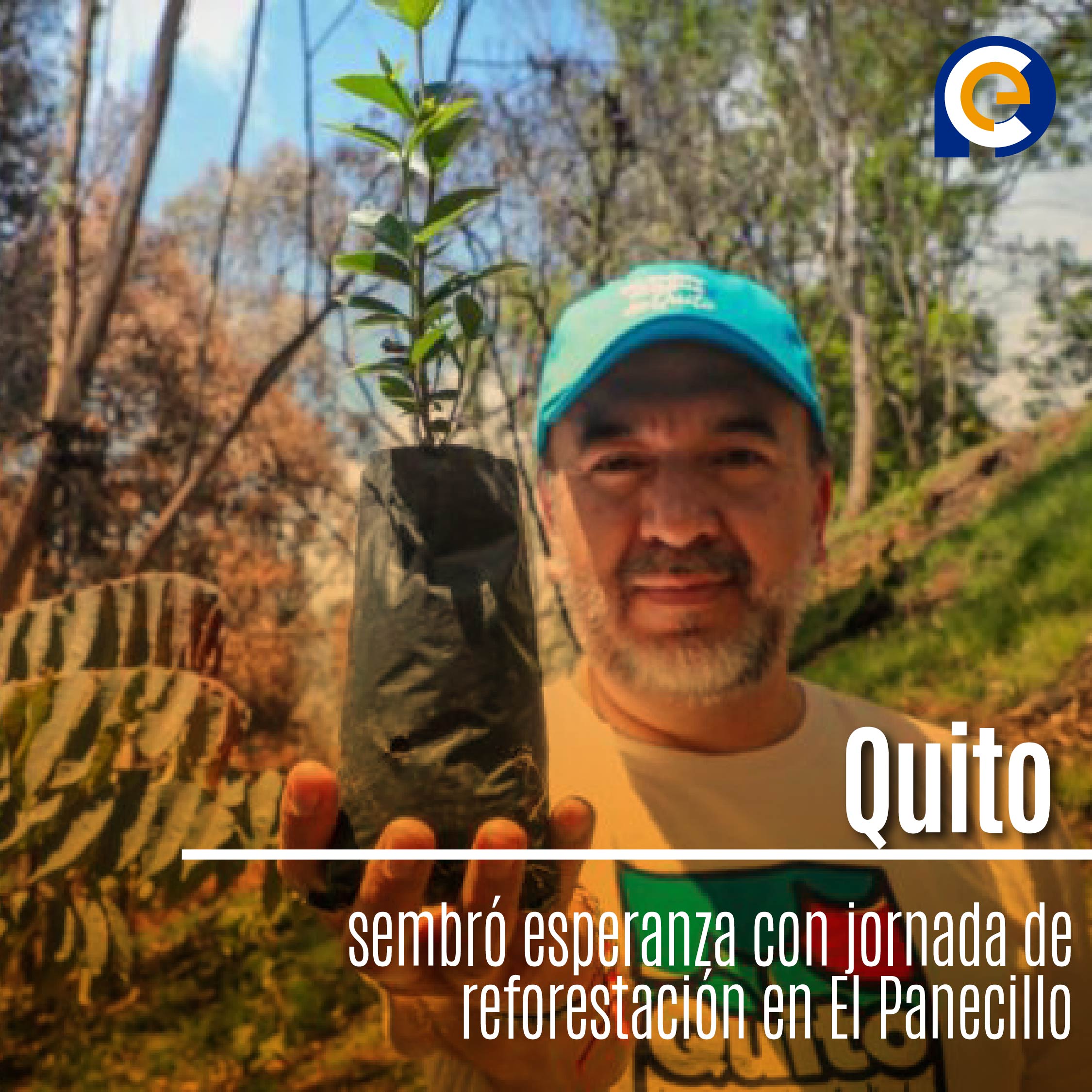 Quito sembró esperanza con jornada de reforestación en El Panecillo