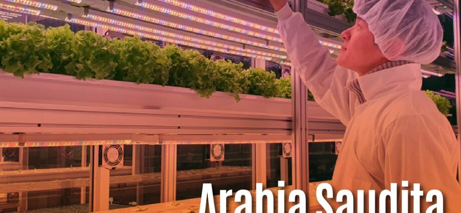 Arabia Saudita transforma la agricultura sostenible para garantizar la seguridad alimentaria