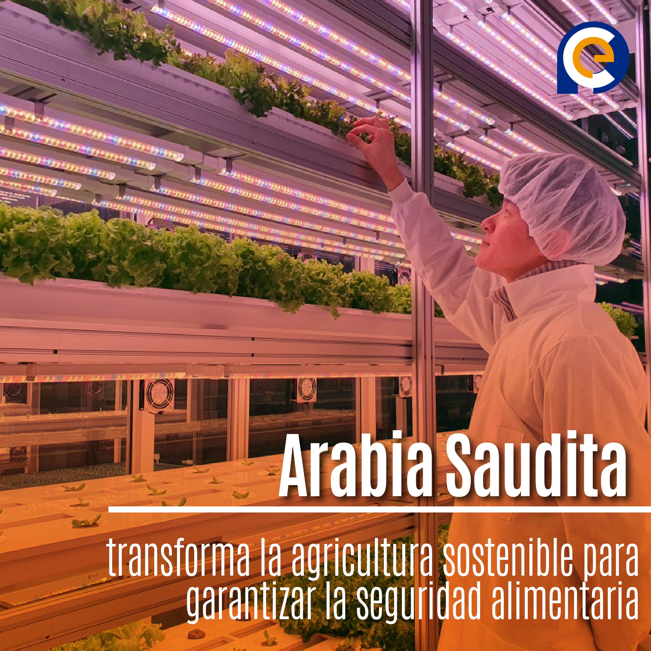 Arabia Saudita transforma la agricultura sostenible para garantizar la seguridad alimentaria