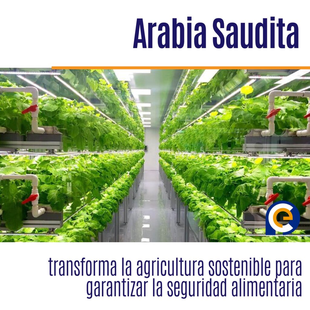 Arabia Saudita transforma la agricultura sostenible para garantizar la seguridad alimentaria
