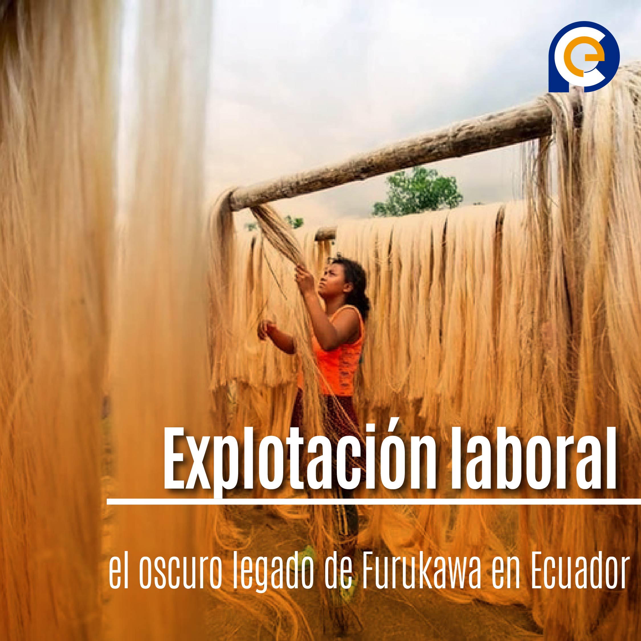 Explotación laboral: el oscuro legado de Furukawa en Ecuador