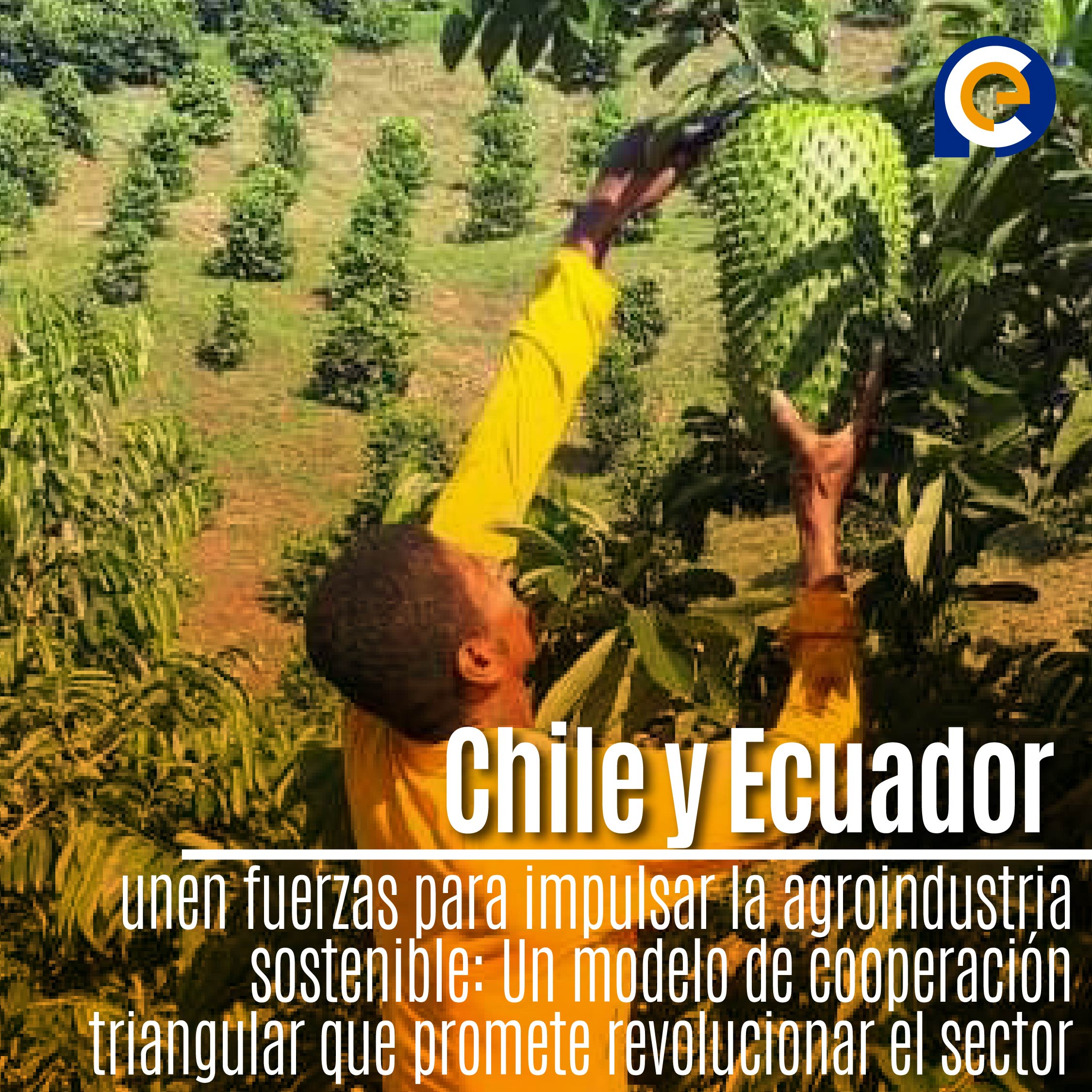 Chile y Ecuador unen fuerzas para impulsar la agroindustria sostenible: Un modelo de cooperación triangular que promete revolucionar el sector