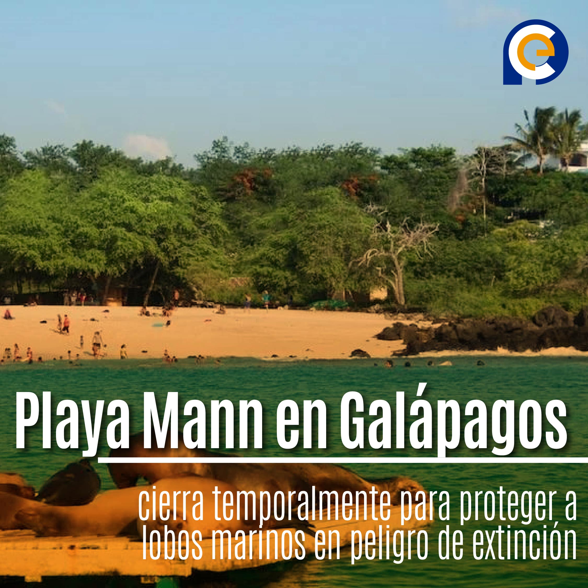 Playa Mann en Galápagos cierra temporalmente para proteger a lobos marinos en peligro de extinción