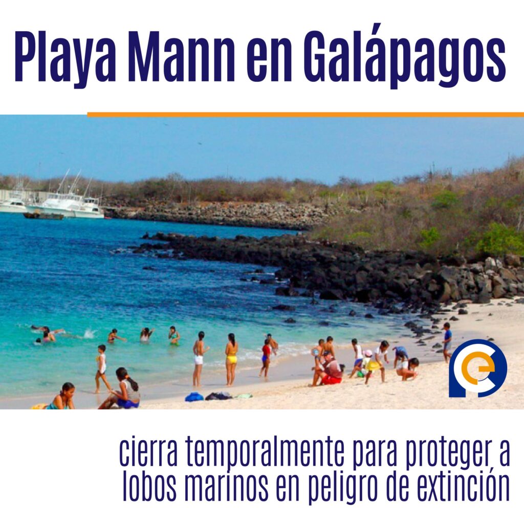 Playa Mann en Galápagos cierra temporalmente para proteger a lobos marinos en peligro de extinción
