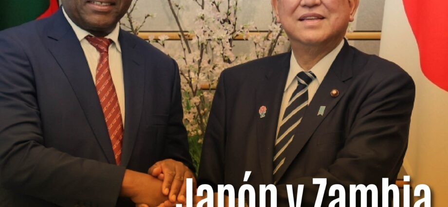 Japón y Zambia fortalecen alianza estratégica en minerales e inversiones: ¿Un nuevo frente ante la influencia china en África?