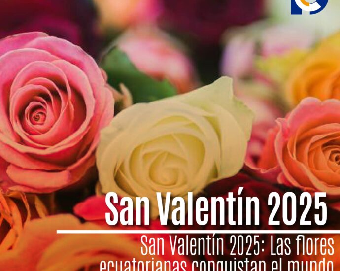 San Valentín 2025: Las flores ecuatorianas conquistan el mundo desde el aeropuerto de Quito