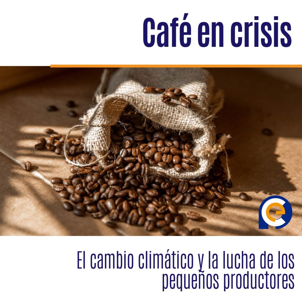 Café en crisis: El cambio climático y la lucha de los pequeños productores