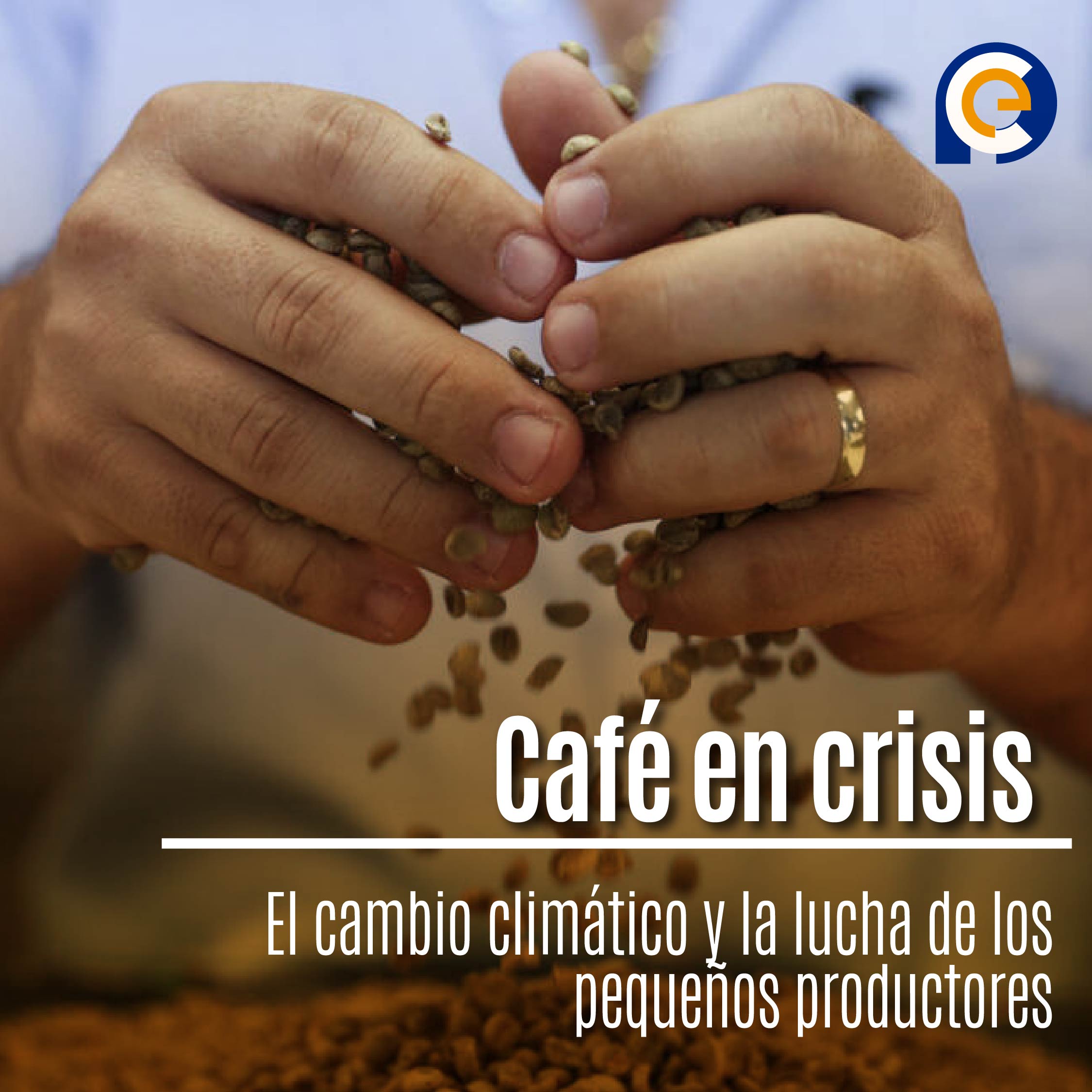 Café en crisis: El cambio climático y la lucha de los pequeños productores