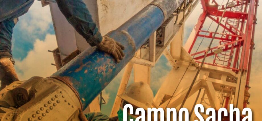 Campo Sacha: ¿Un mal negocio para Ecuador? El Estado recibiría solo el 12.5% de la producción petrolera