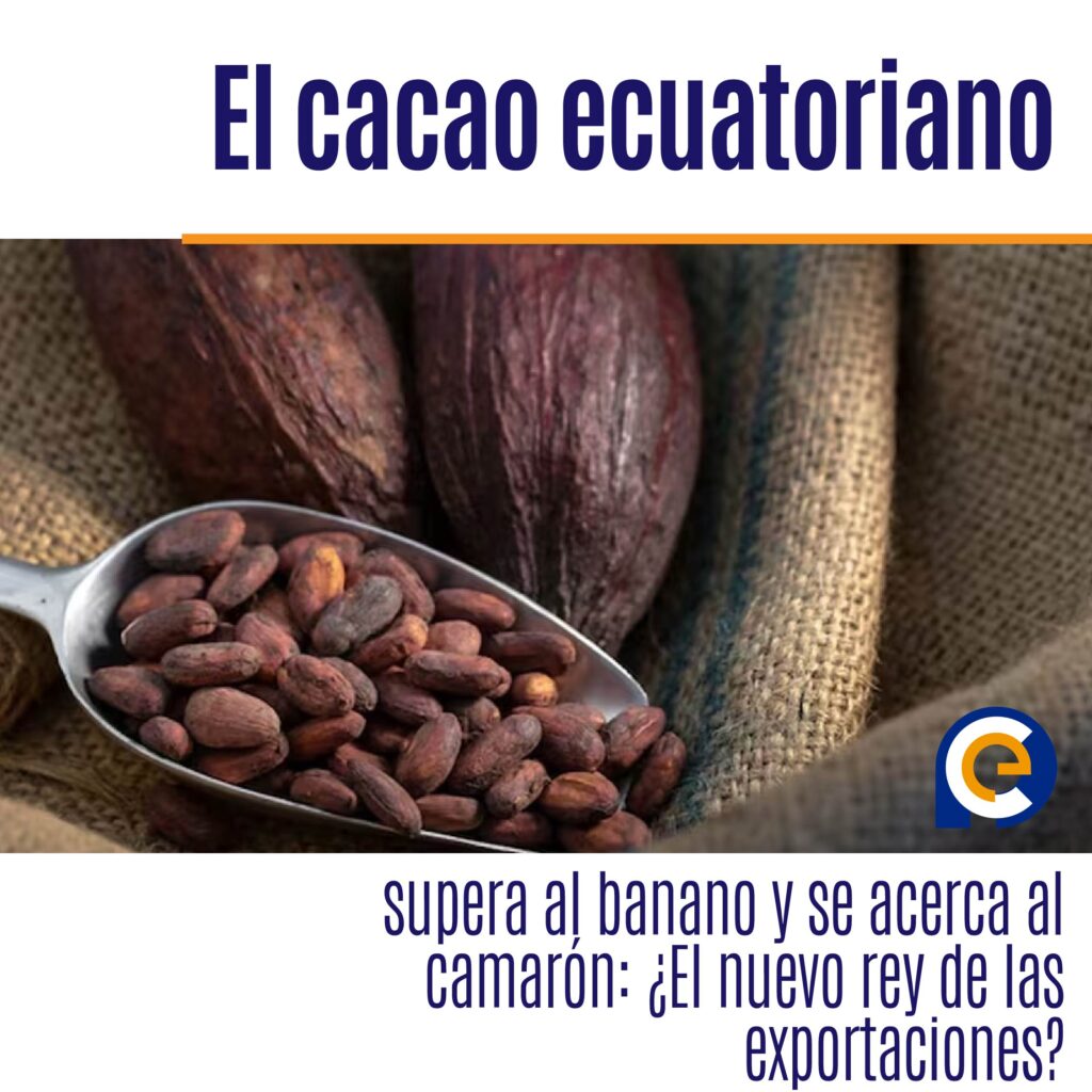 El cacao ecuatoriano supera al banano y se acerca al camarón: ¿El nuevo rey de las exportaciones?