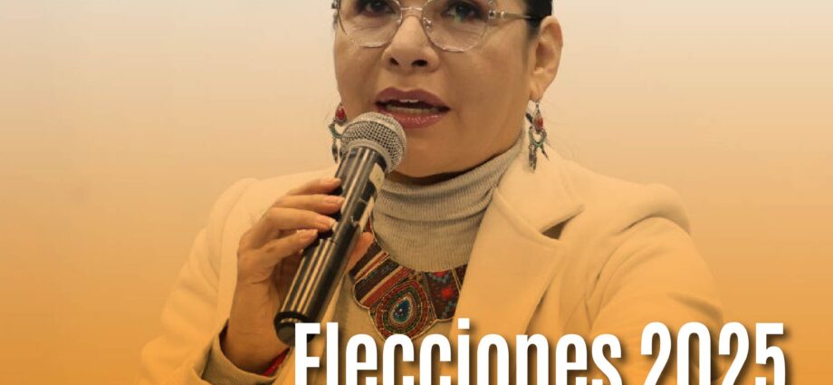 Elecciones 2025 en Ecuador: CNE asegura transparencia y anuncia medidas para garantizar un voto libre y secreto