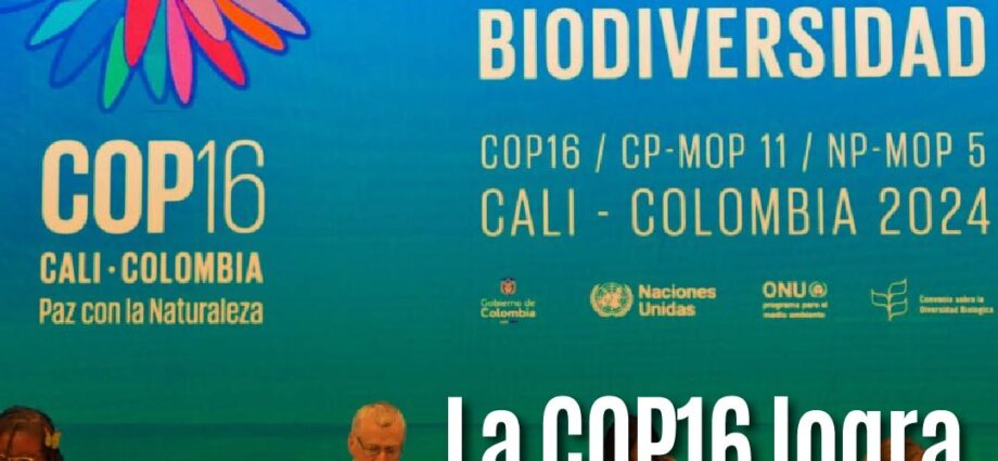 La COP16 logra acuerdo clave para mejorar la financiación de la biodiversidad, aunque el financiamiento esperado sigue siendo insuficiente