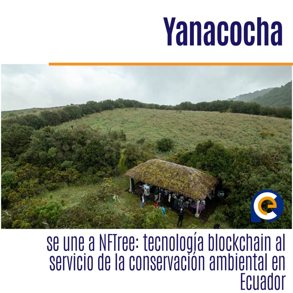 Yanacocha se une a NFTree: tecnología blockchain al servicio de la conservación ambiental en Ecuador