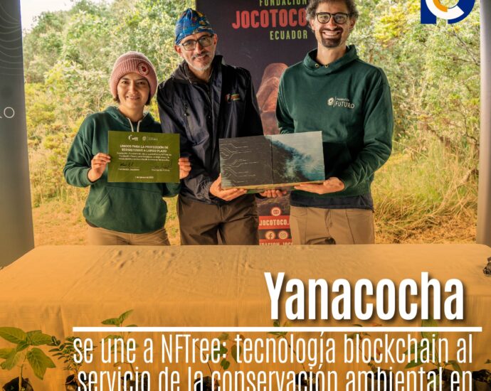Yanacocha se une a NFTree: tecnología blockchain al servicio de la conservación ambiental en Ecuador