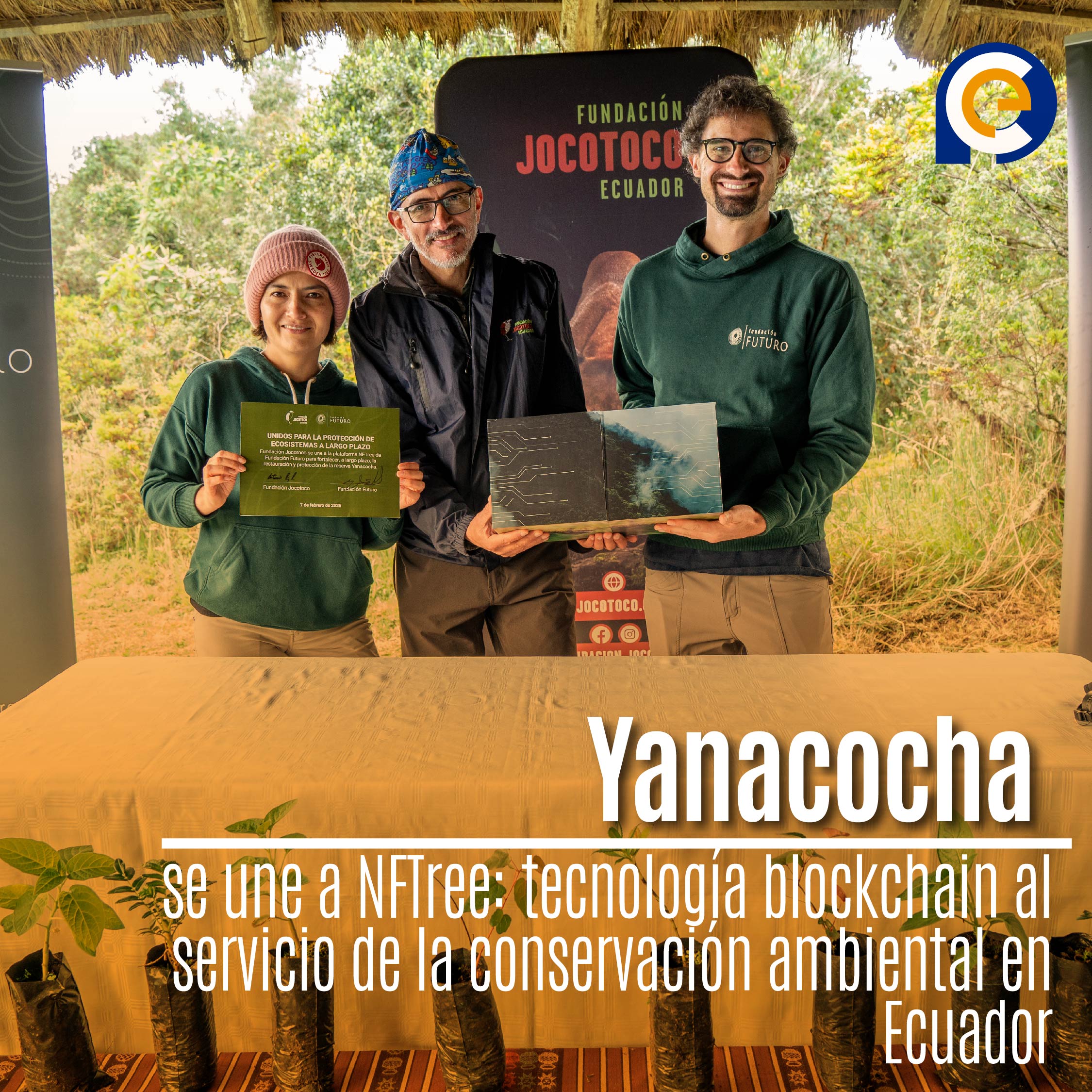 Yanacocha se une a NFTree: tecnología blockchain al servicio de la conservación ambiental en Ecuador