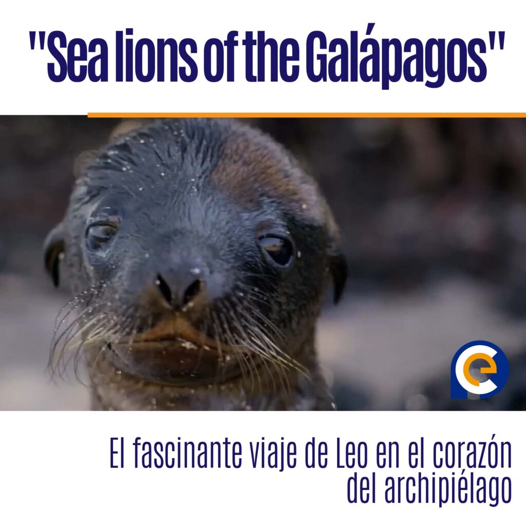"Sea lions of the Galápagos": El fascinante viaje de Leo en el corazón del archipiélago