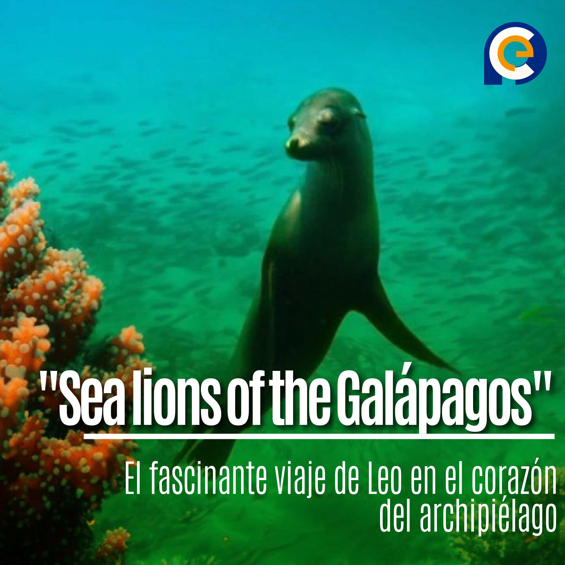 "Sea lions of the Galápagos": El fascinante viaje de Leo en el corazón del archipiélago