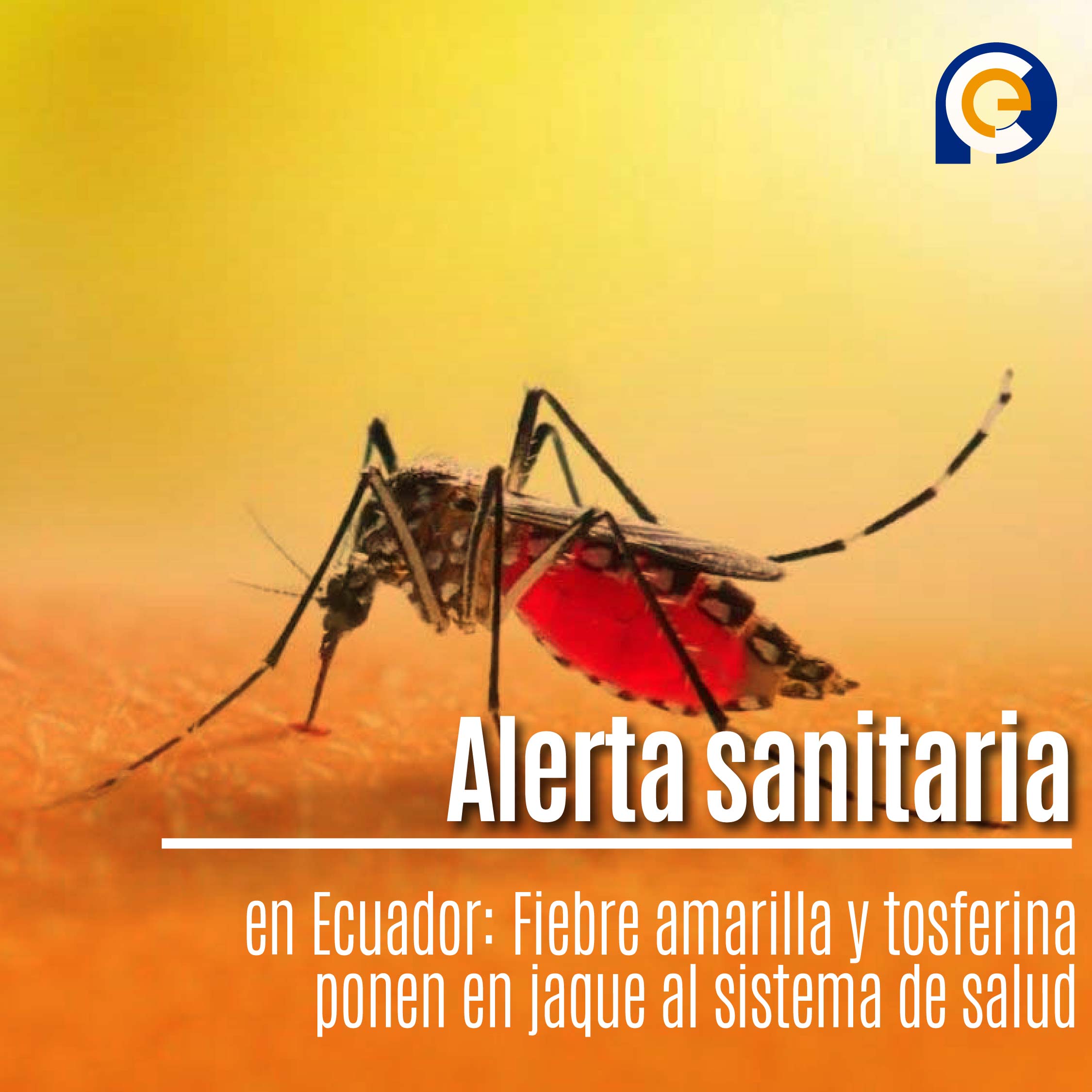 Alerta sanitaria en Ecuador: Fiebre amarilla y tosferina ponen en jaque al sistema de salud