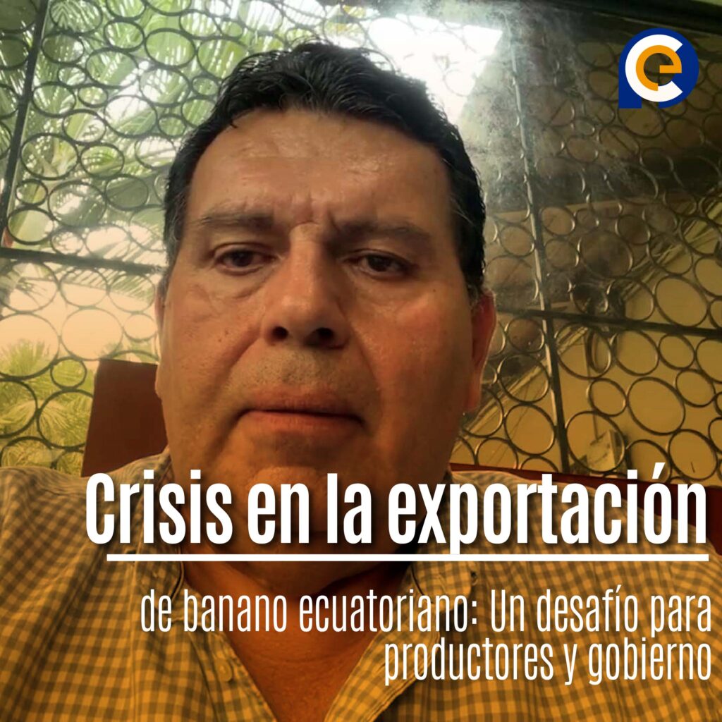 Crisis en la exportación de banano ecuatoriano: Un desafío para productores y gobierno