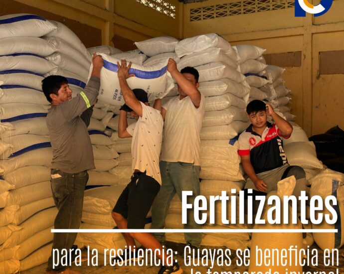 Fertilizantes para la resiliencia: Guayas se beneficia en la temporada invernal