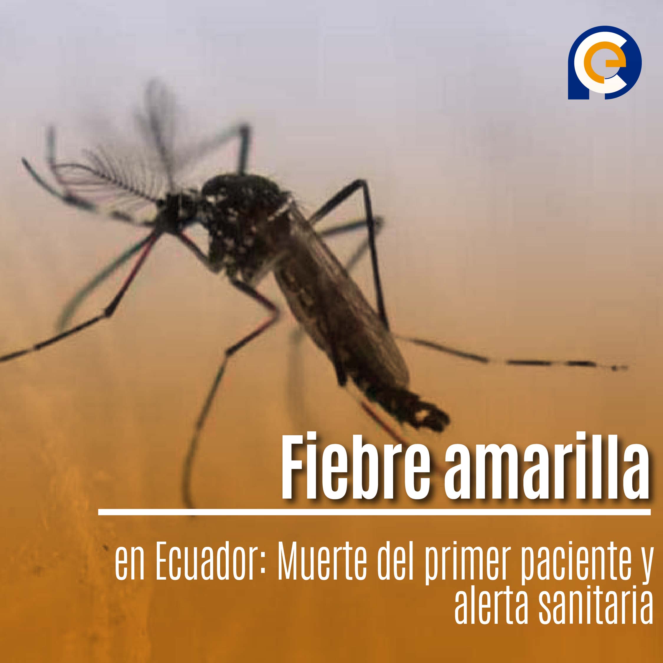 Fiebre amarilla en Ecuador: Muerte del primer paciente y alerta sanitaria