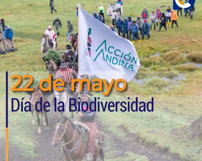 22 de mayo, Día de la Biodiversidad: Acción Andina impulsa la restauración ecológica como respuesta a la pérdida de biodiversidad en Sudamérica