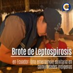 Brote de Leptospirosis en Ecuador: Una emergencia sanitaria en comunidades indígenas