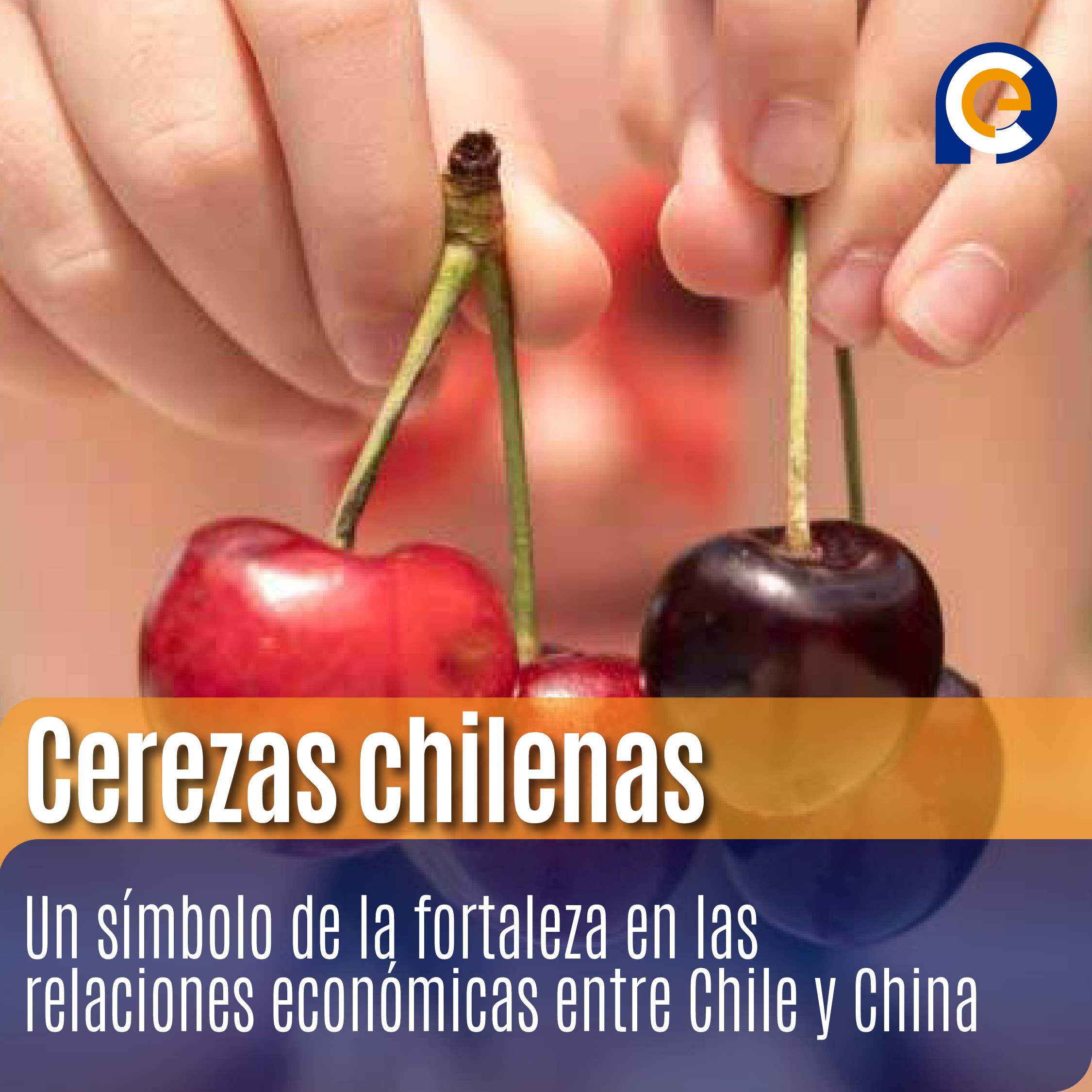 Cerezas chilenas: Un símbolo de la fortaleza en las relaciones económicas entre Chile y China