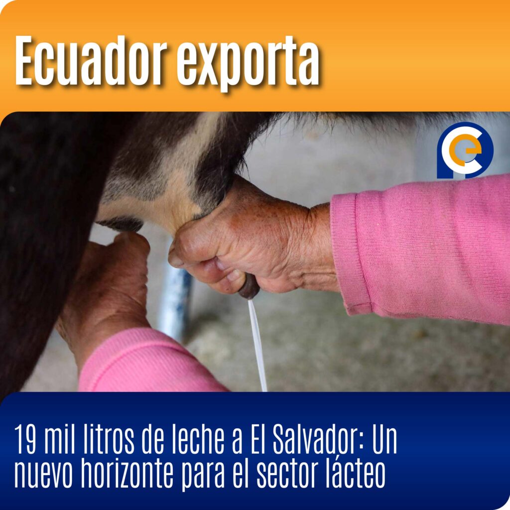 Ecuador exporta 19 mil litros de leche a El Salvador: Un nuevo horizonte para el sector lácteo