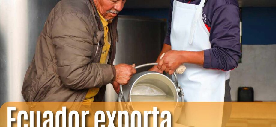 Ecuador exporta 19 mil litros de leche a El Salvador: Un nuevo horizonte para el sector lácteo