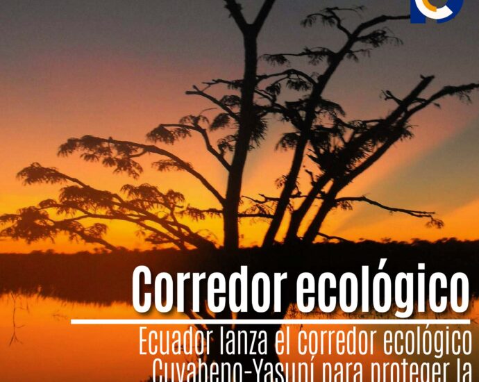 Ecuador lanza el corredor ecológico Cuyabeno-Yasuní para proteger la Amazonía