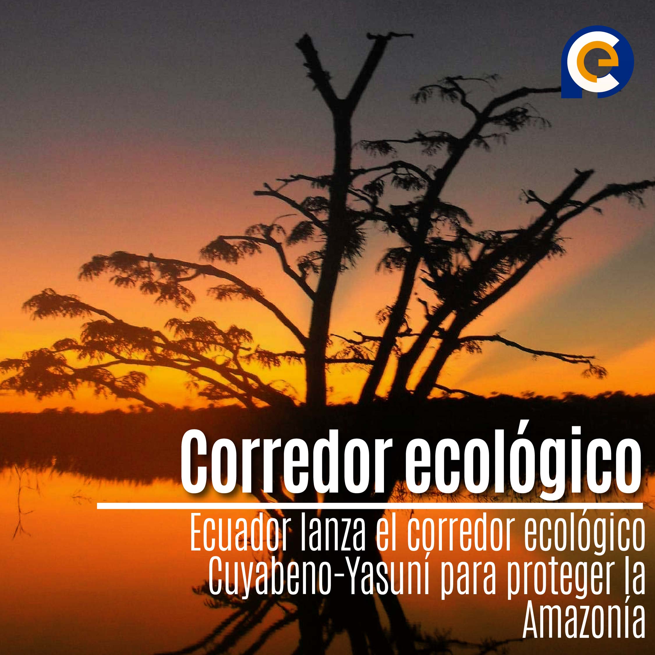 Ecuador lanza el corredor ecológico Cuyabeno-Yasuní para proteger la Amazonía
