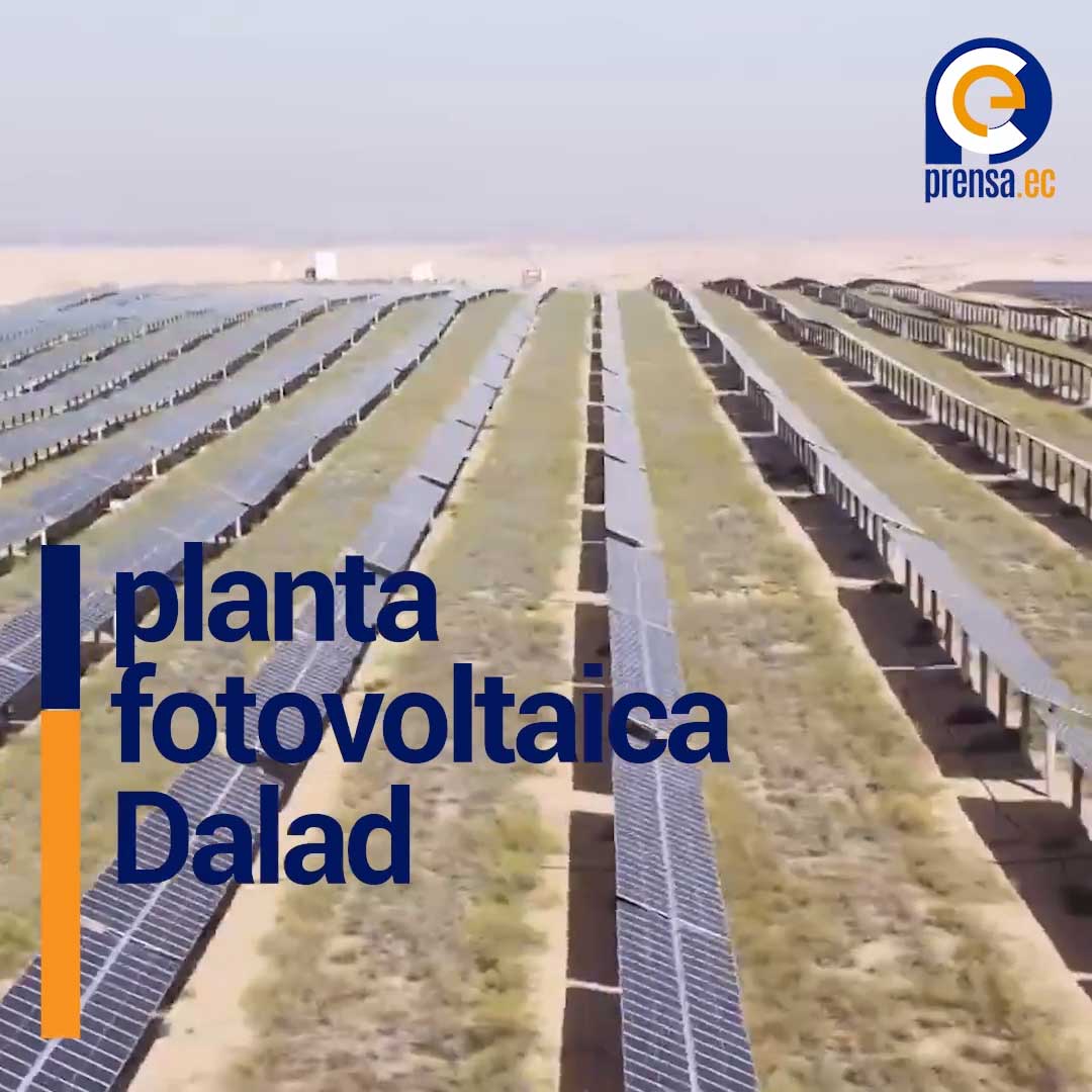 El Caballo Solar de Kubuchi: Energía Verde que Frena el Desierto