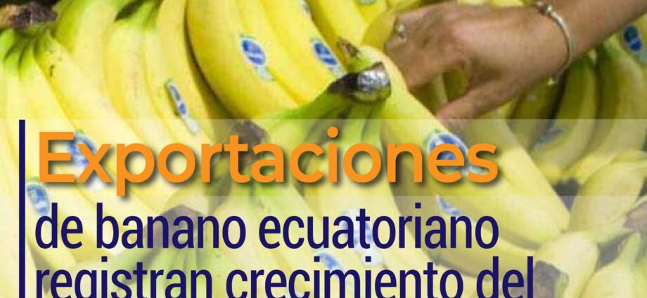 Exportaciones de banano ecuatoriano registran crecimiento del 3,21% en primer cuatrimestre de 2025