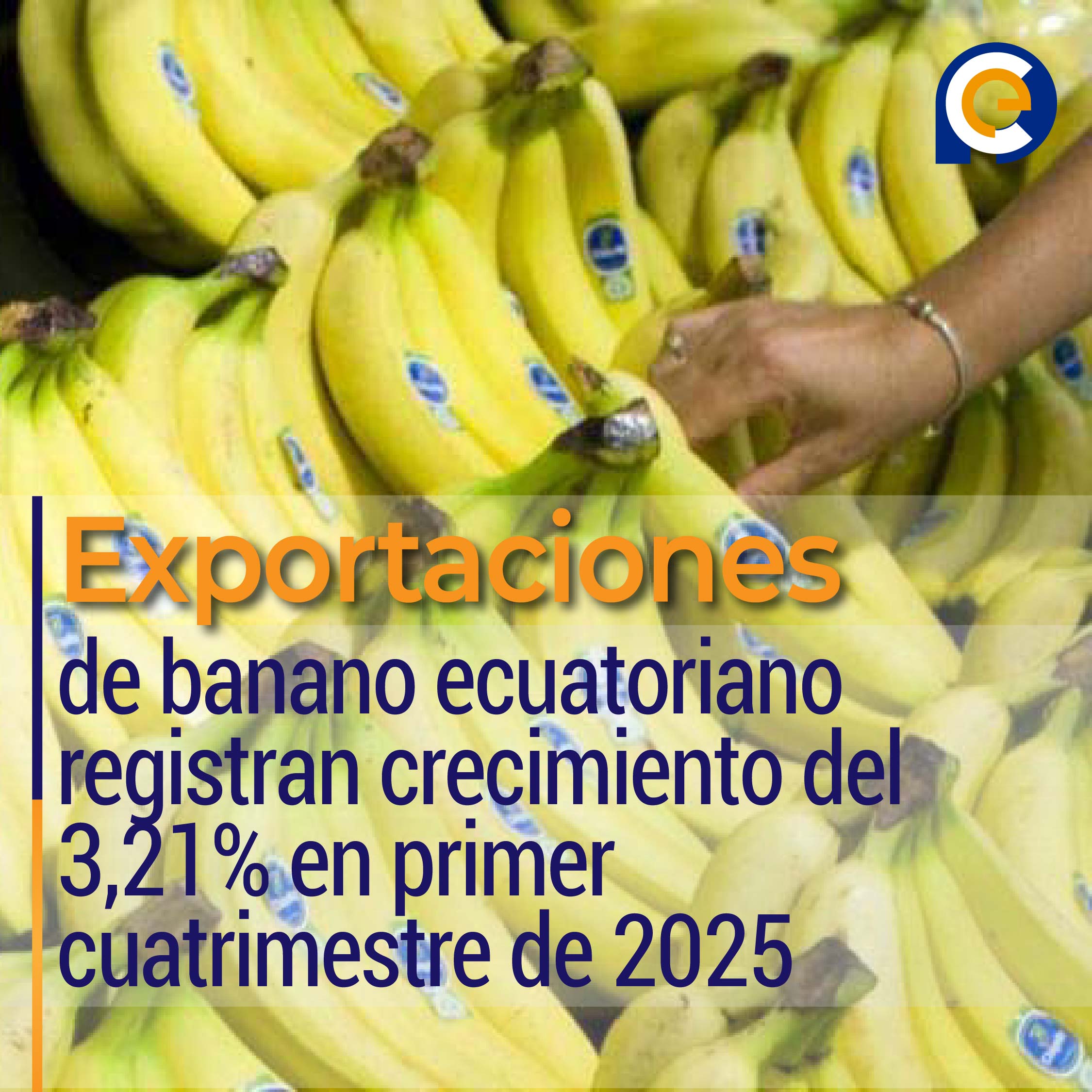 Exportaciones de banano ecuatoriano registran crecimiento del 3,21% en primer cuatrimestre de 2025