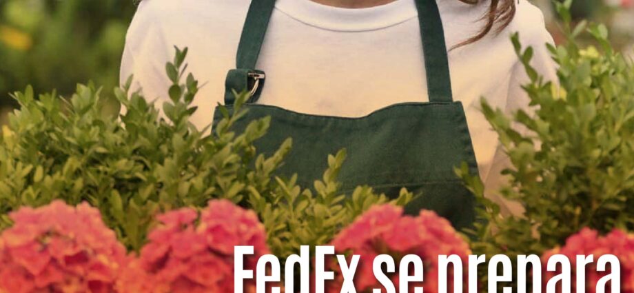 FedEx se prepara para transportar 2.7 millones de libras de flores desde Ecuador y Colombia para el Día de las Madres