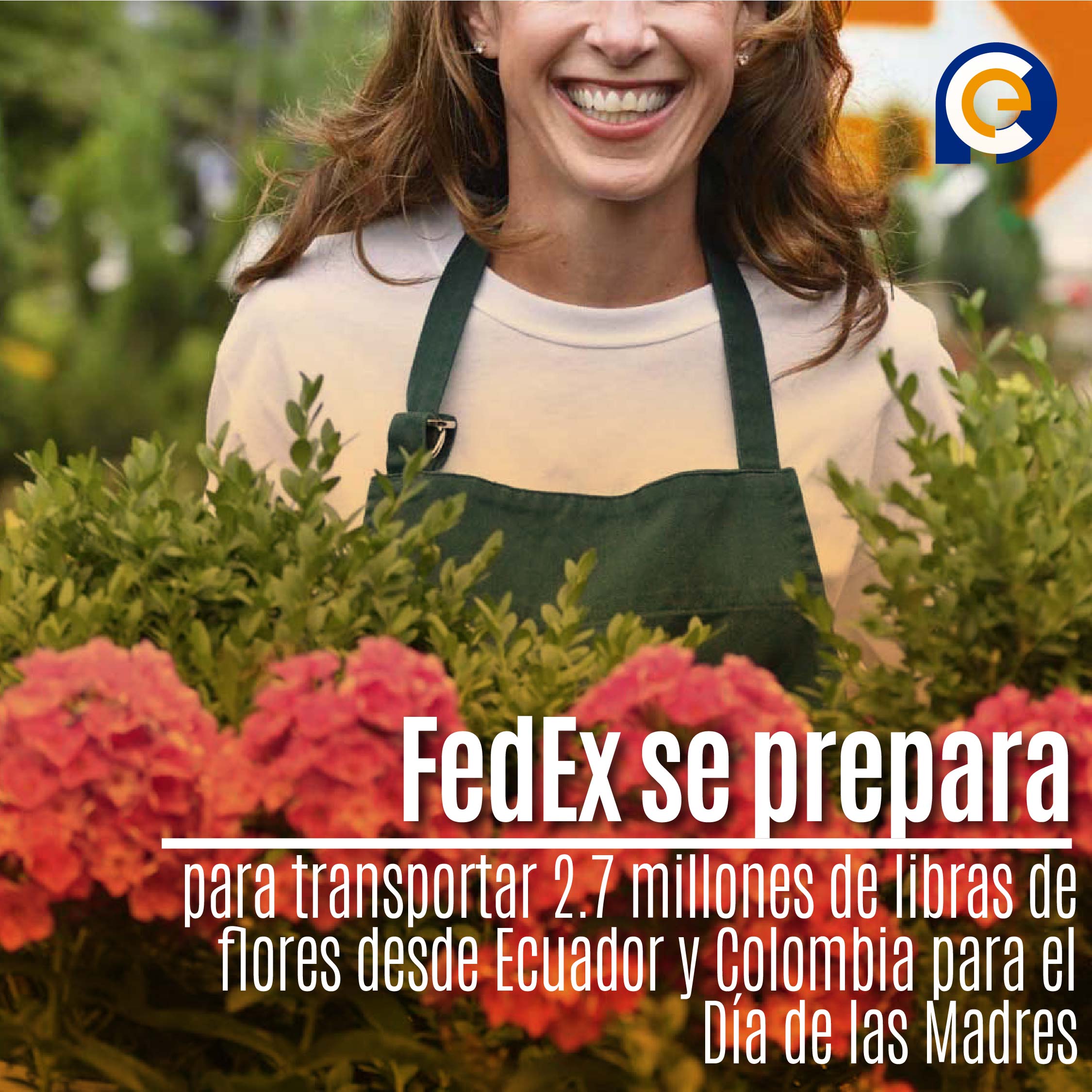 FedEx se prepara para transportar 2.7 millones de libras de flores desde Ecuador y Colombia para el Día de las Madres